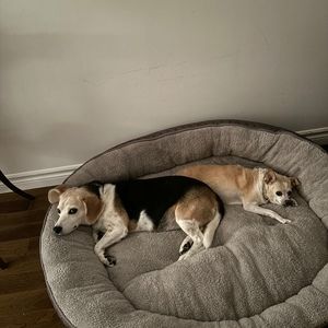 Meet your Posher, Elaine